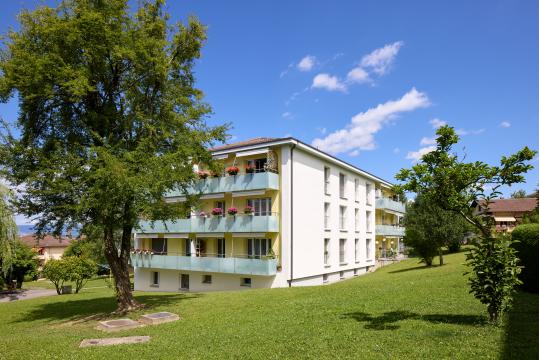 image Plantaz 20